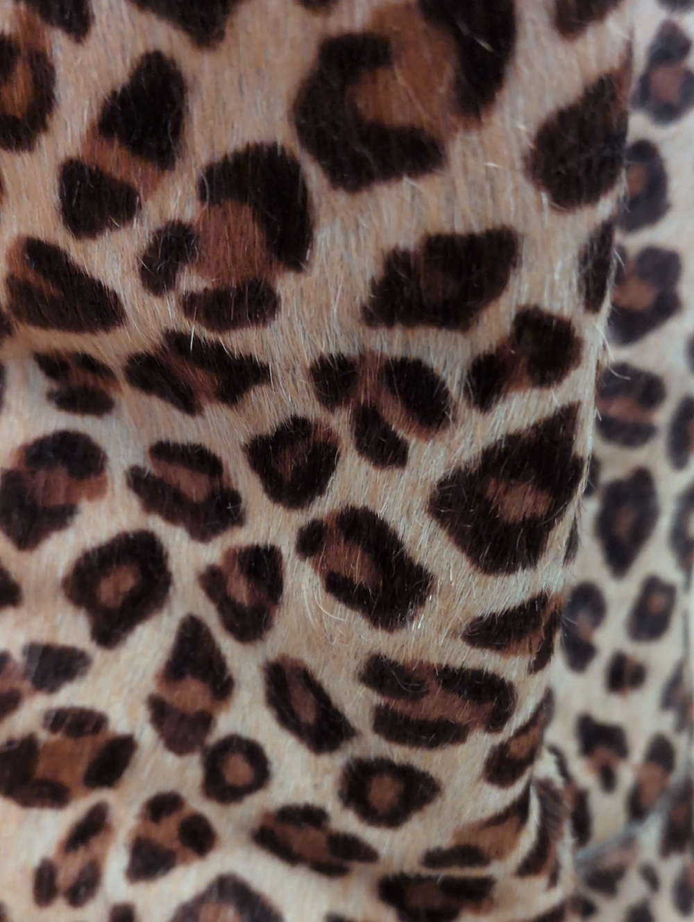 Dolce Vita Animal Print Square Toe Boots - Picture 2 of 12